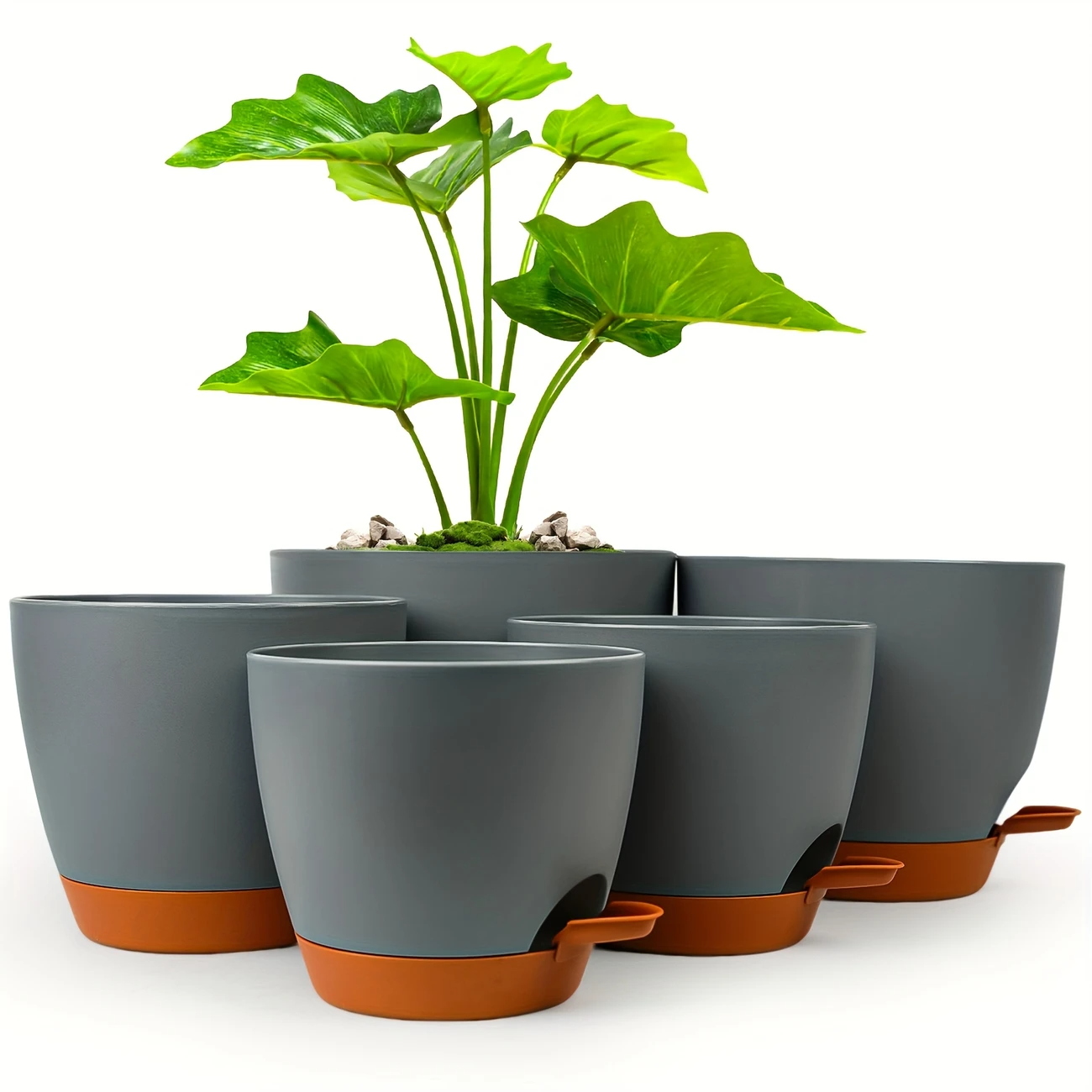 Curved Shape Smart Watering Plant Pots