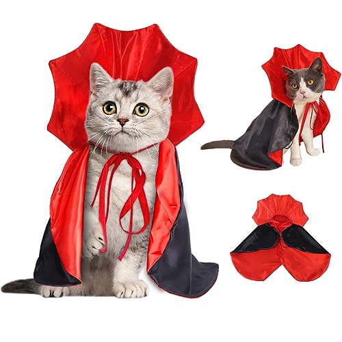 Halloween For Pets