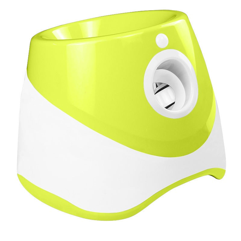 Pet Accessories