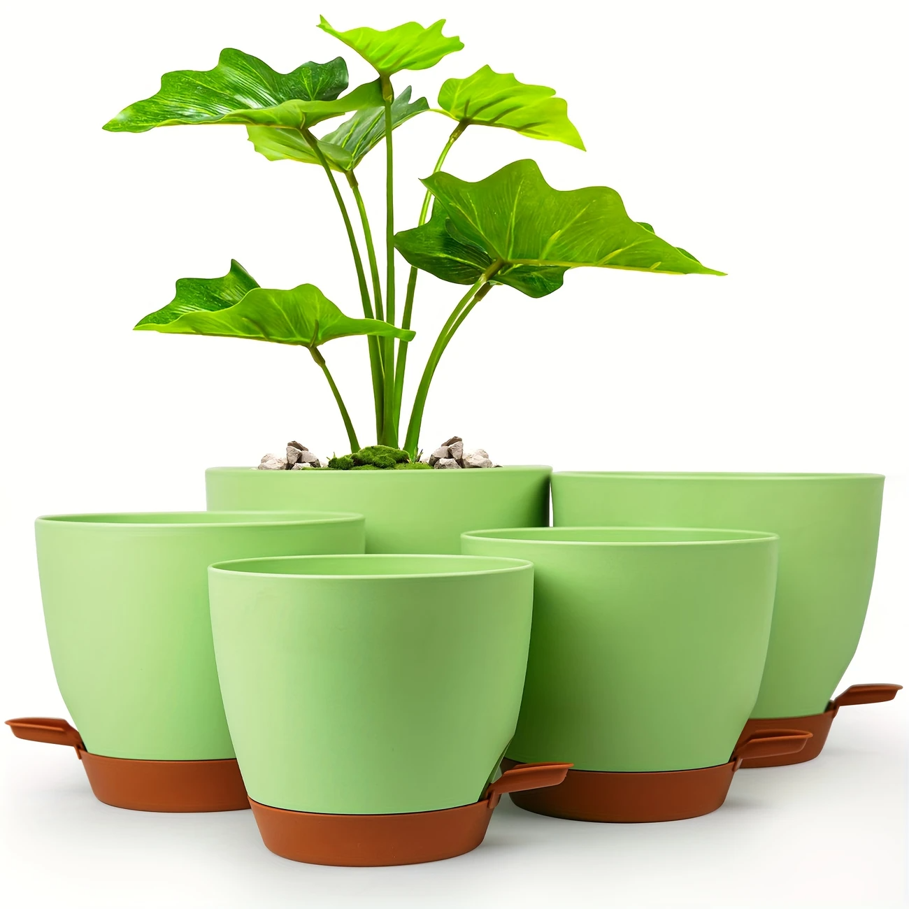 Curved Shape Smart Watering Plant Pots