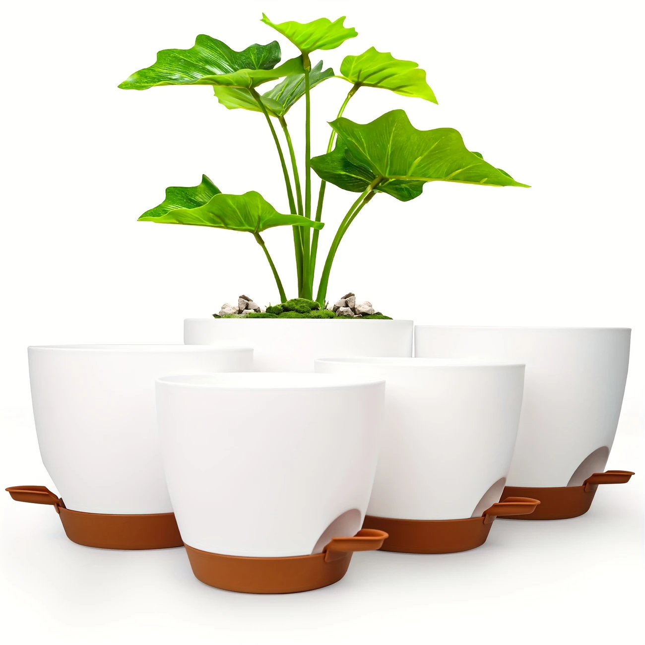 Curved Shape Smart Watering Plant Pots