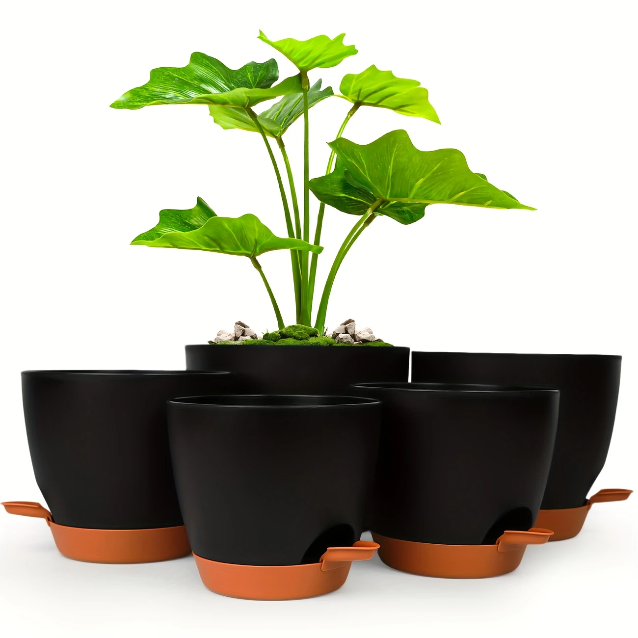 Curved Shape Smart Watering Plant Pots